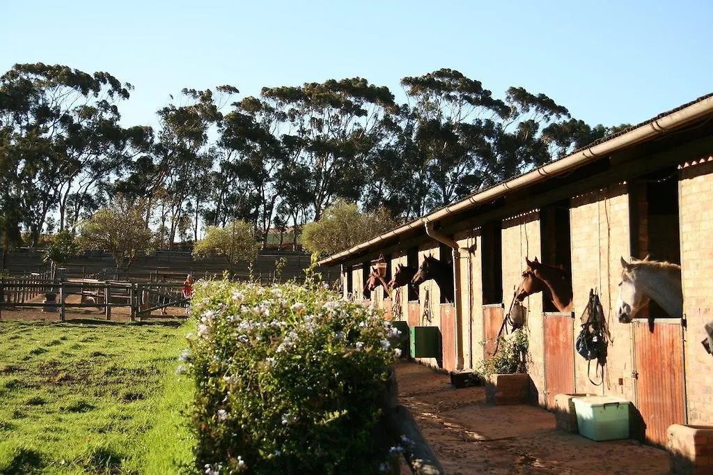 Holiday park Alba Guest Farm Villa Durbanville