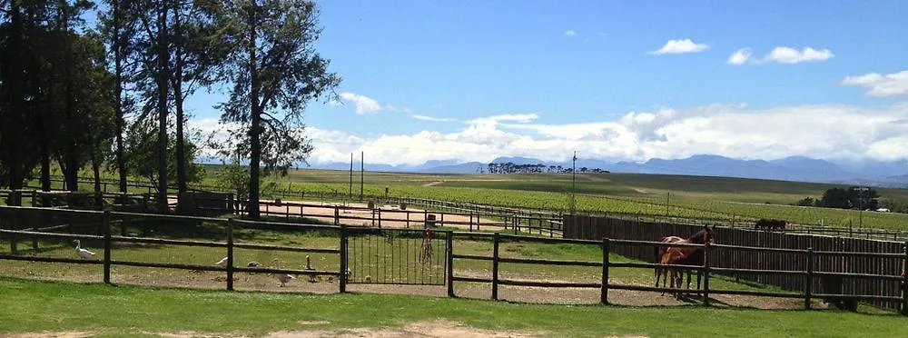 Alba Guest Farm Villa Durbanville Holiday park