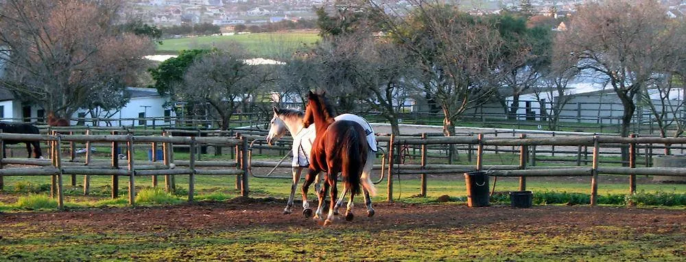 **** Holiday park Alba Guest Farm Villa Durbanville South Africa
