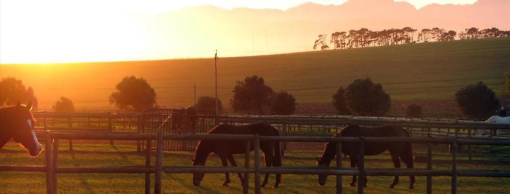 Alba Guest Farm Villa Durbanville 4*,
